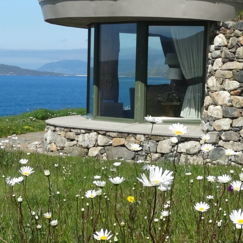 Spring view at Blue Reef Cottages, a field of daisies surrounding the cottage looking out at the sea in the background.